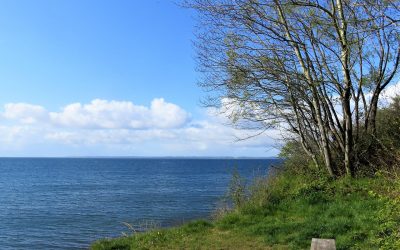 Naturoplevelser på Sydfyn